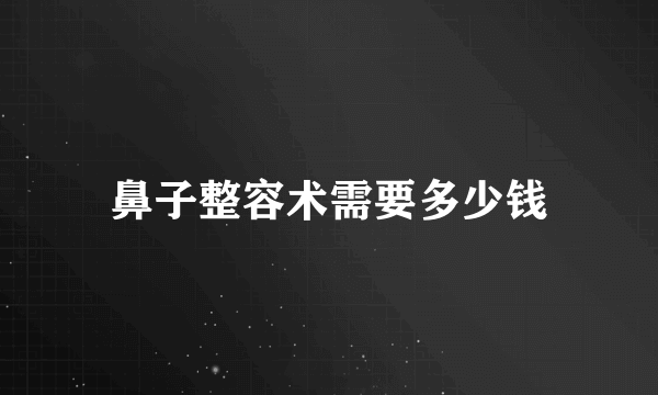 鼻子整容术需要多少钱