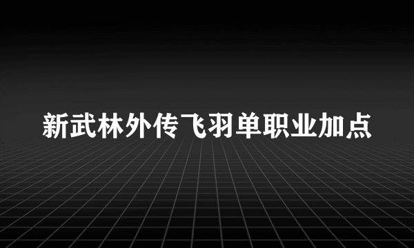新武林外传飞羽单职业加点
