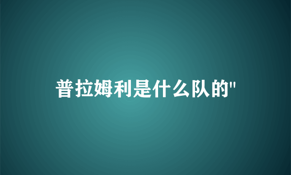普拉姆利是什么队的