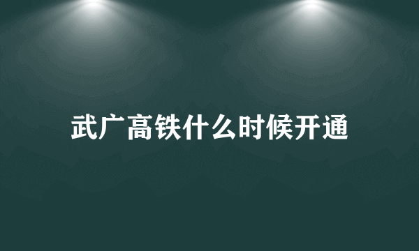 武广高铁什么时候开通