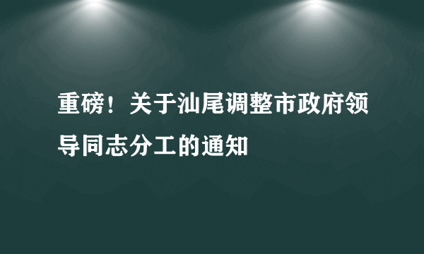 重磅！关于汕尾调整市政府领导同志分工的通知