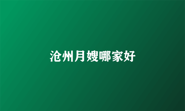 沧州月嫂哪家好