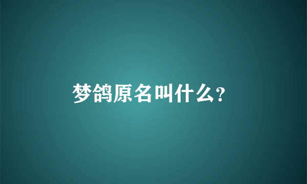 梦鸽原名叫什么？