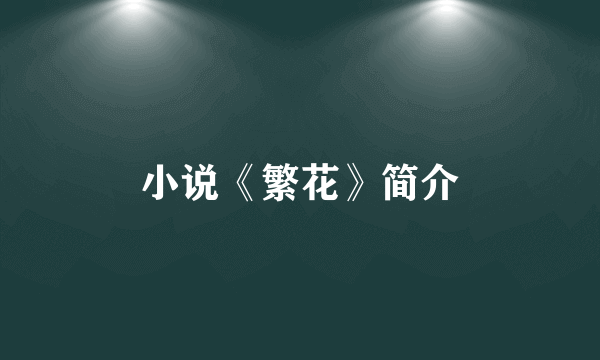 小说《繁花》简介
