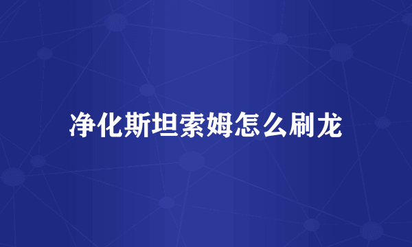 净化斯坦索姆怎么刷龙