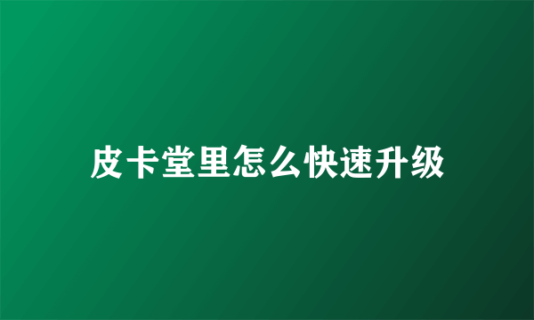 皮卡堂里怎么快速升级
