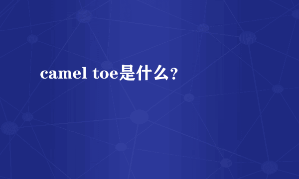 camel toe是什么？