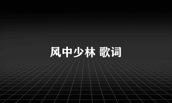 风中少林 歌词