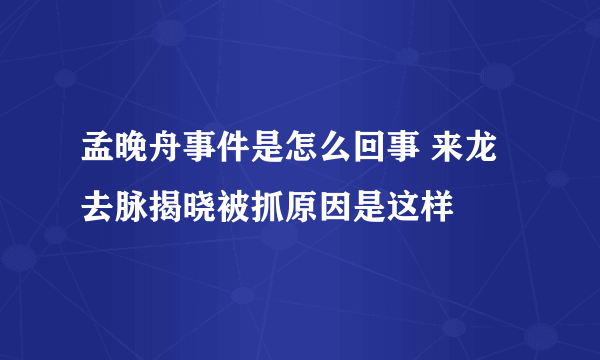 孟晚舟事件是怎么回事 来龙去脉揭晓被抓原因是这样