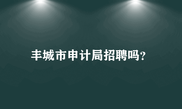 丰城市申计局招聘吗？