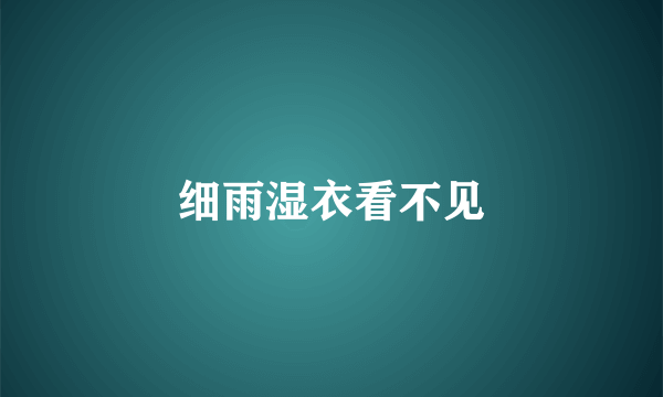 细雨湿衣看不见