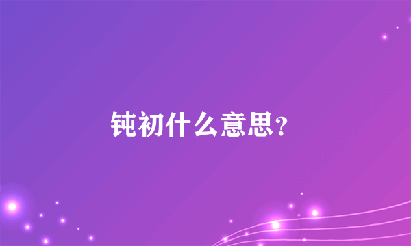 钝初什么意思？