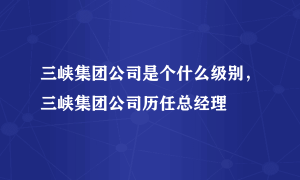 三峡集团公司是个什么级别，三峡集团公司历任总经理