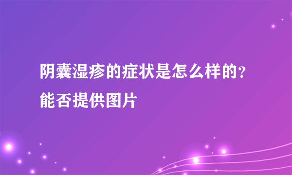 阴囊湿疹的症状是怎么样的？能否提供图片