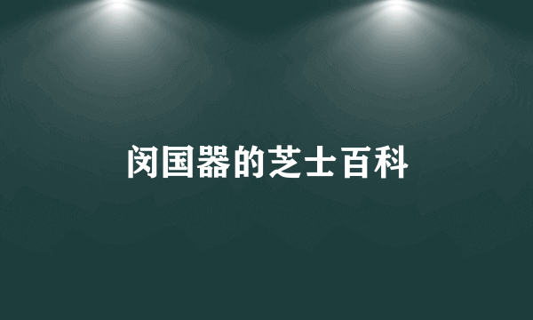 闵国器的芝士百科