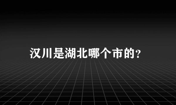 汉川是湖北哪个市的？
