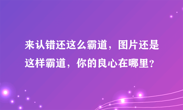 来认错还这么霸道，图片还是这样霸道，你的良心在哪里？