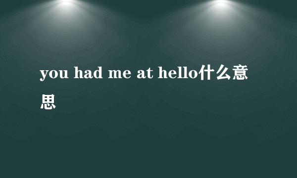 you had me at hello什么意思