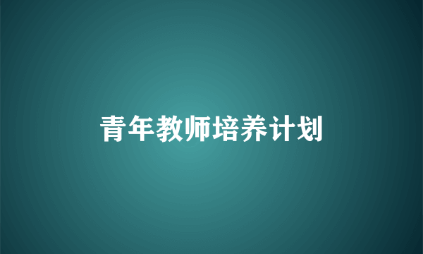 青年教师培养计划
