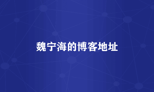 魏宁海的博客地址