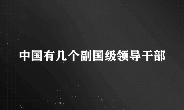 中国有几个副国级领导干部
