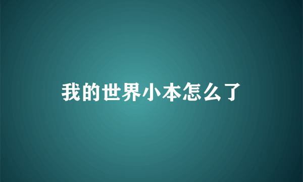 我的世界小本怎么了