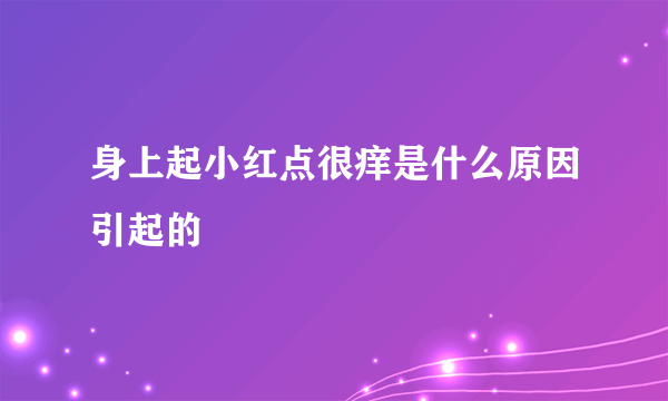 身上起小红点很痒是什么原因引起的