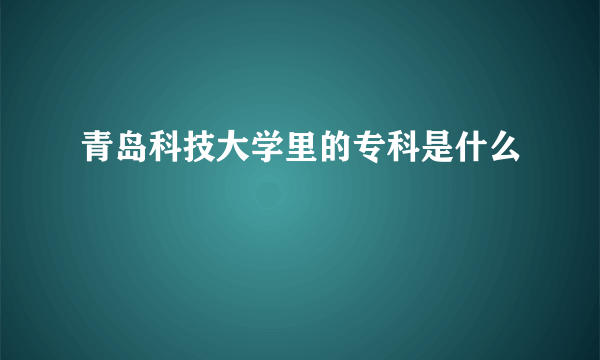 青岛科技大学里的专科是什么