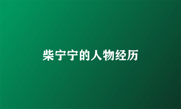柴宁宁的人物经历