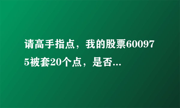 请高手指点，我的股票600975被套20个点，是否割肉走人