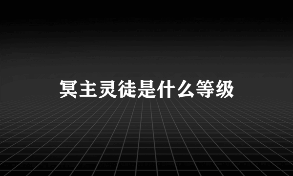 冥主灵徒是什么等级
