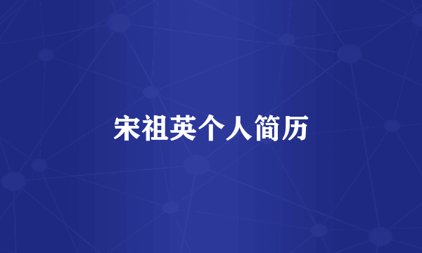 宋祖英个人简历