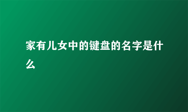 家有儿女中的键盘的名字是什么