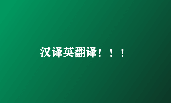 汉译英翻译！！！