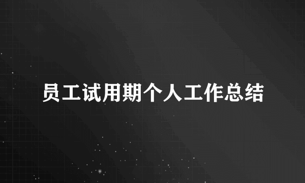 员工试用期个人工作总结