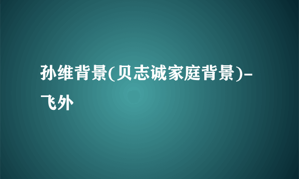 孙维背景(贝志诚家庭背景)-飞外