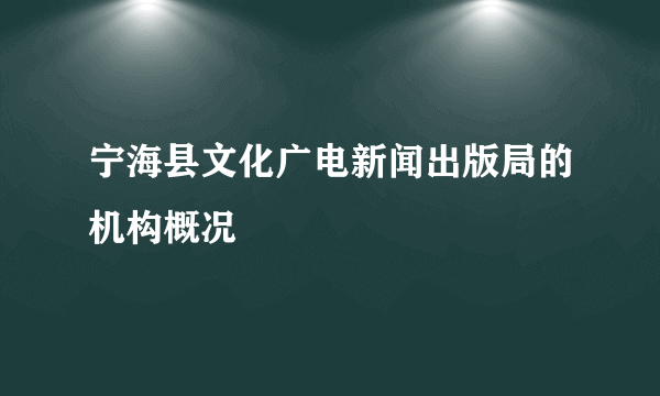 宁海县文化广电新闻出版局的机构概况