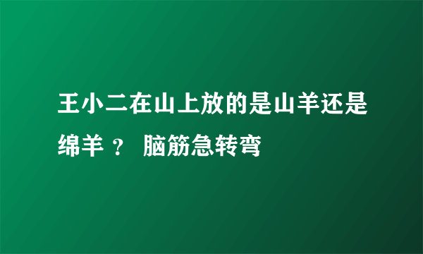 王小二在山上放的是山羊还是绵羊 ？ 脑筋急转弯