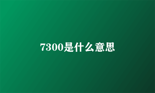 7300是什么意思