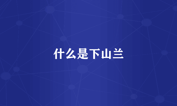 什么是下山兰