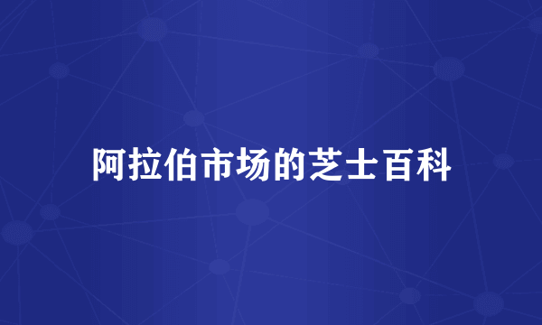 阿拉伯市场的芝士百科