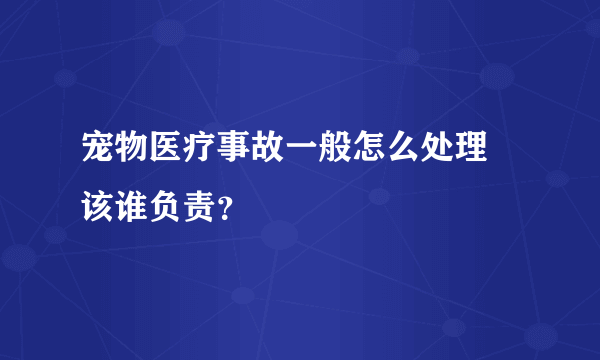 宠物医疗事故一般怎么处理 该谁负责？