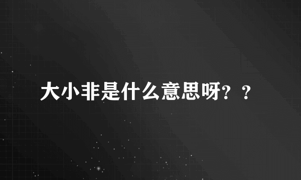 大小非是什么意思呀？？
