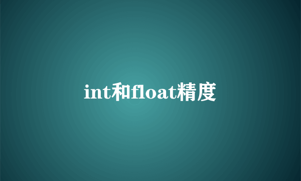 int和float精度