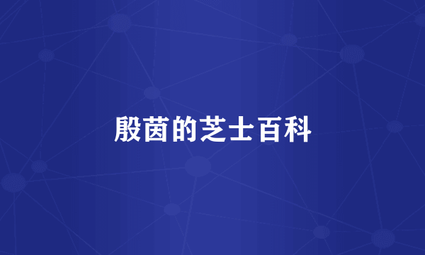 殷茵的芝士百科