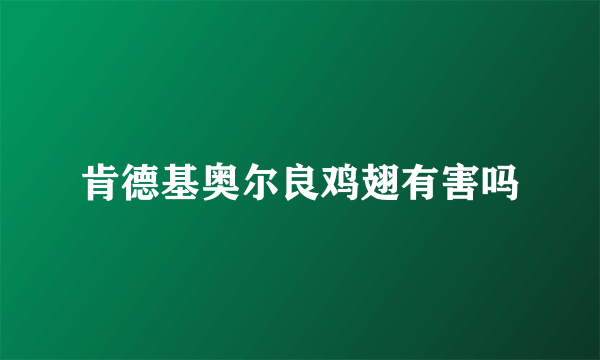 肯德基奥尔良鸡翅有害吗