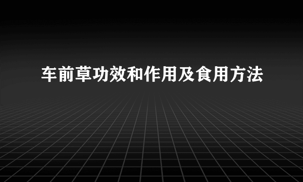 车前草功效和作用及食用方法