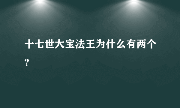 十七世大宝法王为什么有两个？