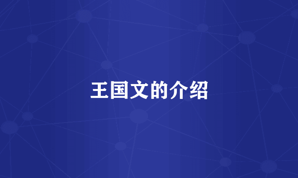 王国文的介绍