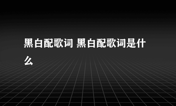 黑白配歌词 黑白配歌词是什么